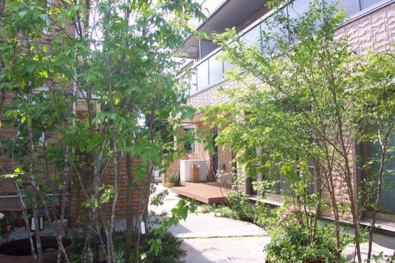 20000305-231112_garden