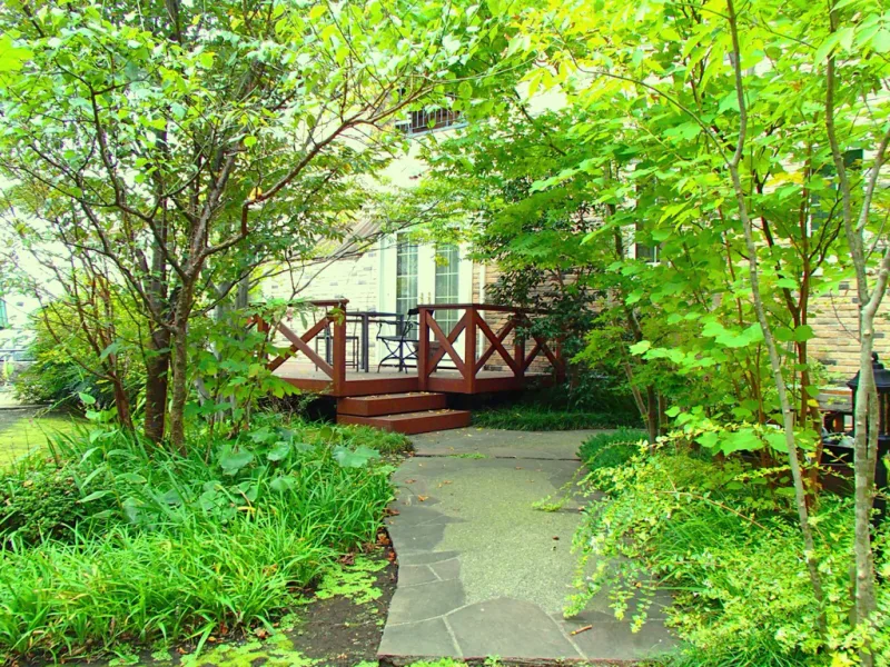 20121031-180312_garden