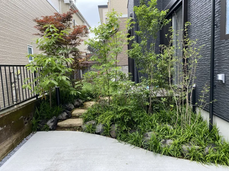 20220819-155320_garden