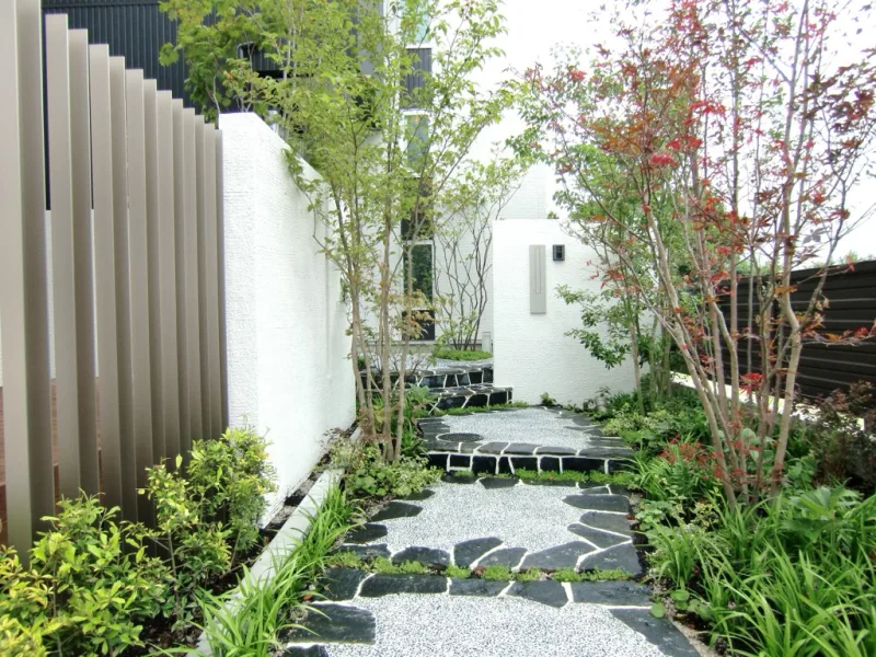 20230304-093214_garden
