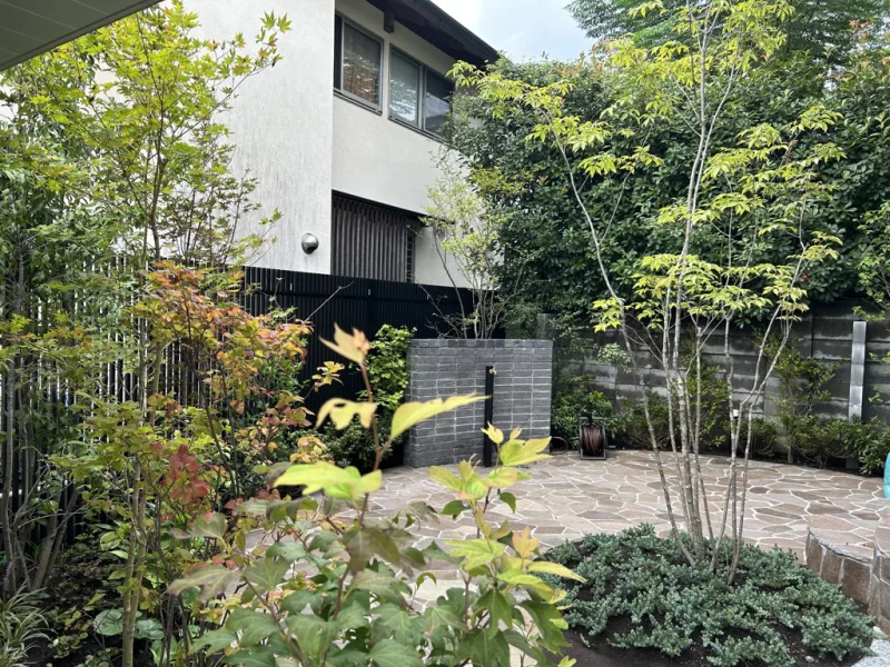20230916-114334_garden