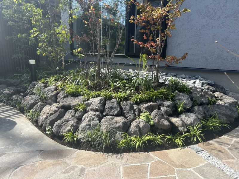 20231113-121848_garden