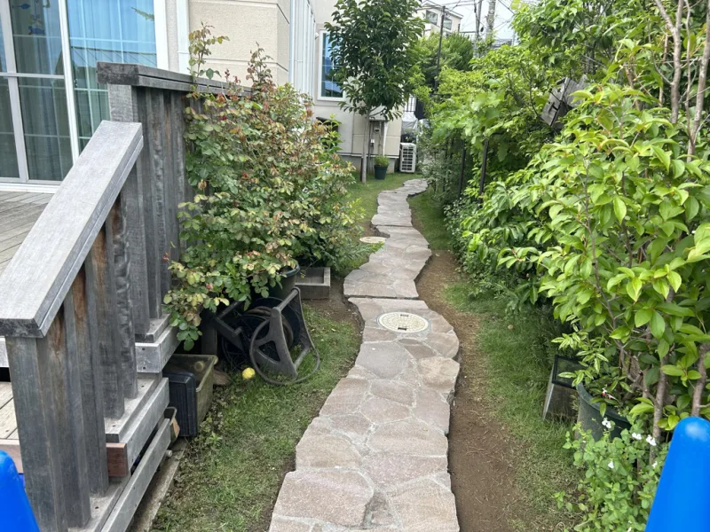 20240611-095100_garden