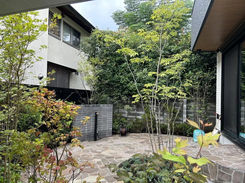 20250202-093408_garden