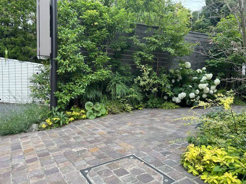 20250202-093414_garden