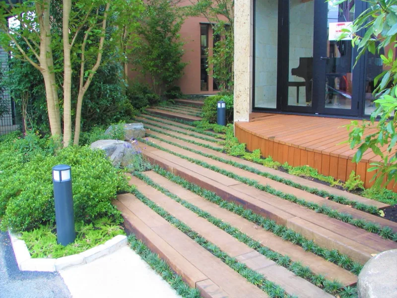 20250202-093416_garden