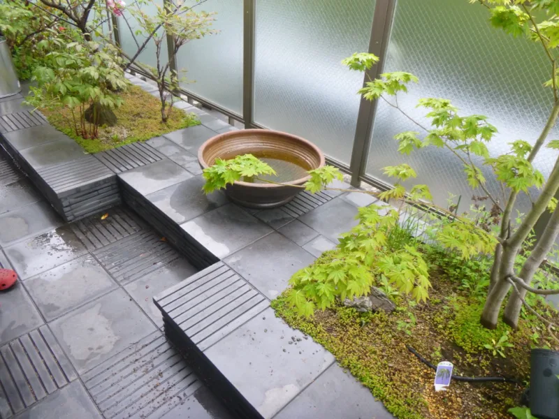 20250202-093420_garden