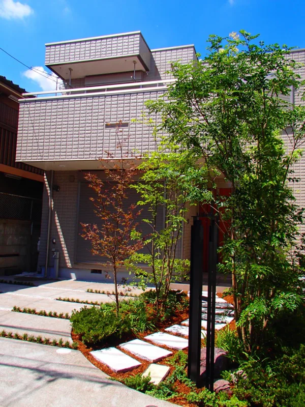 20250202-093422_garden