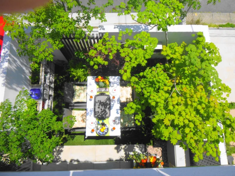 20250202-093426_1_garden