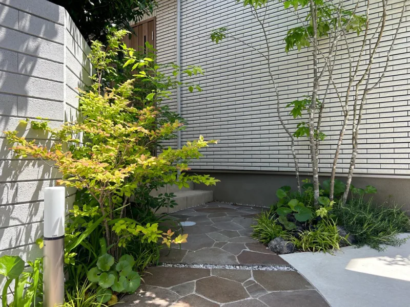 20250513-132318_garden