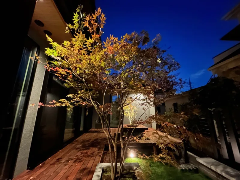 20251029-150738_garden